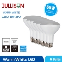 LED Light Bulb - BR30