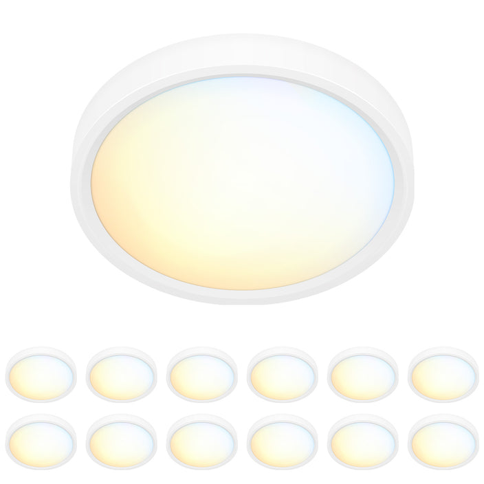 template--18709845999861__collection-links